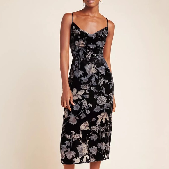 Anthropologie Dresses & Skirts - Anthropologie Astrid Burnout Velvet Dress